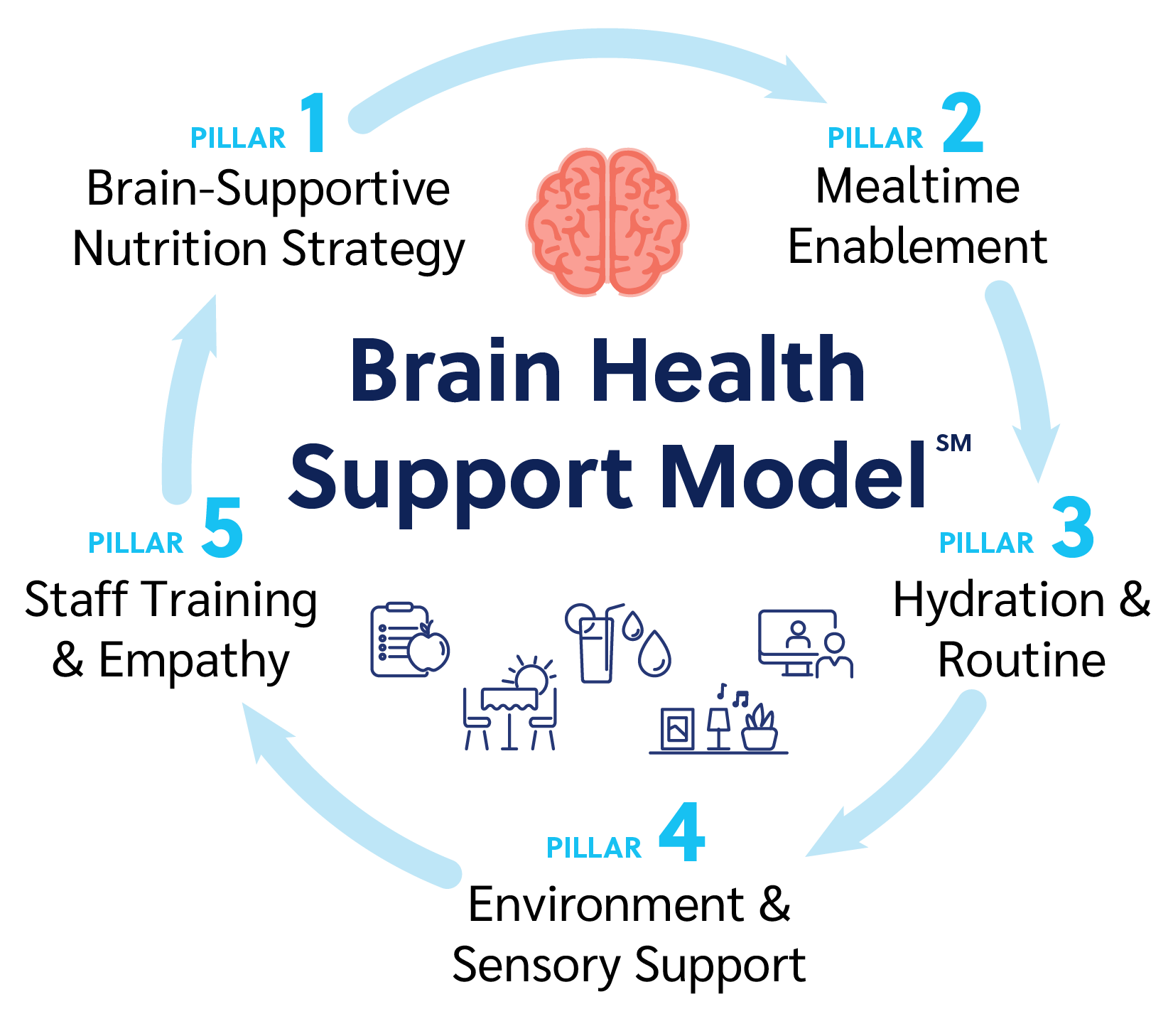 Forefront-Brain-Health-Support-Model-02-1 Forefront-Brain-Health-Support-Model-02-1
