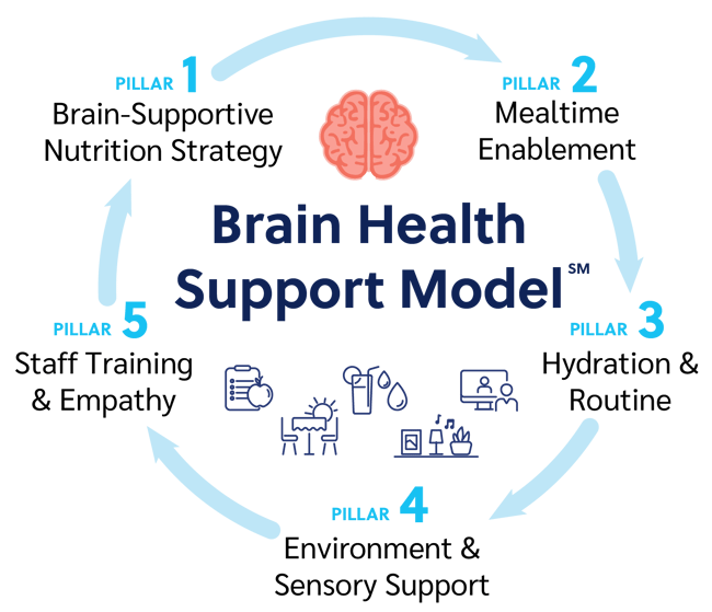 Forefront-Brain-Health-Support-Model-02-1