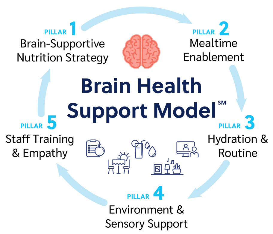 Forefront-Brain-Health-Support-Model-02-1
