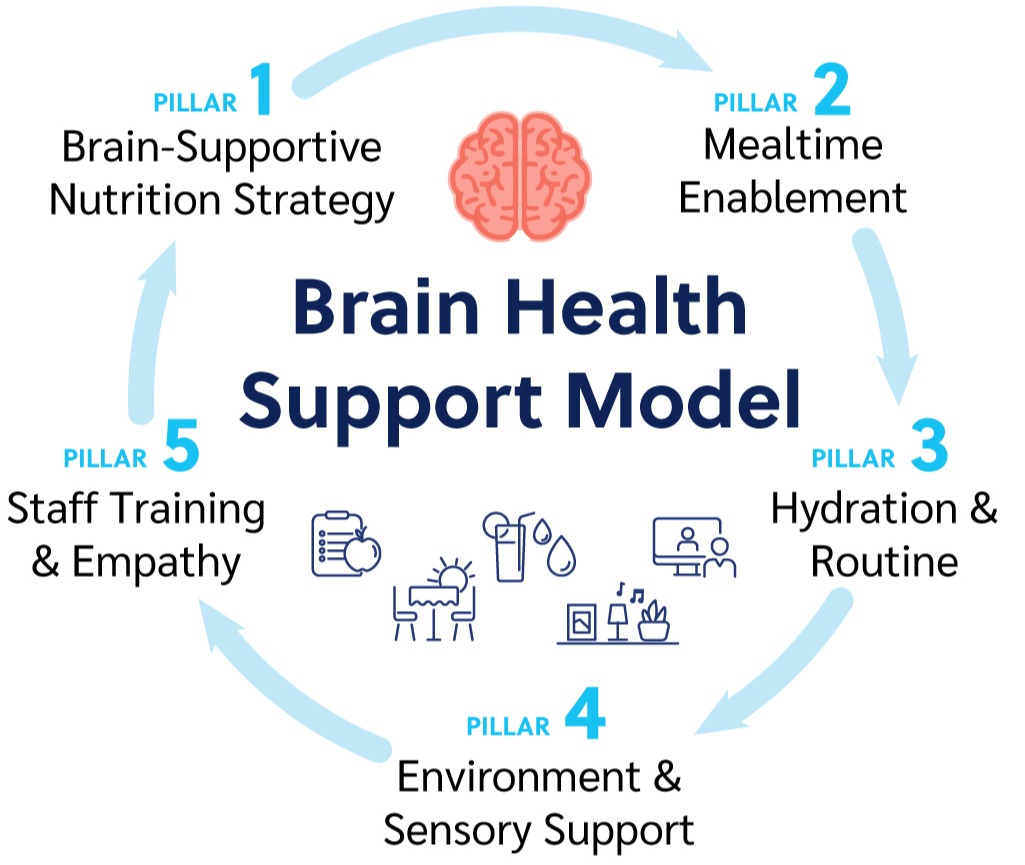 brain-graphic-pillars