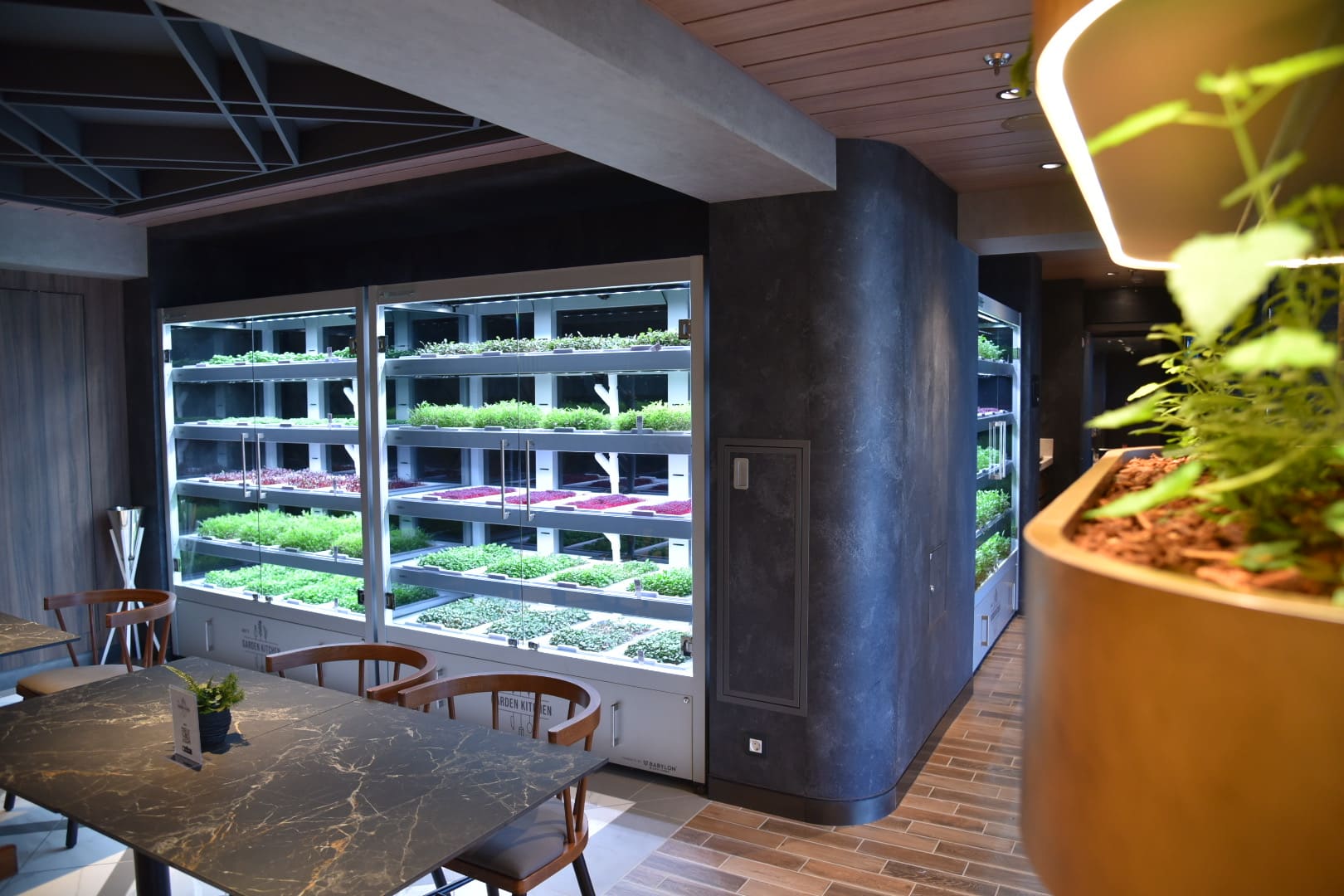 Forefront Partners with Babylon Micro-Farms to Bring Fresh, Hyperlocal Produce to Senior Living Communities